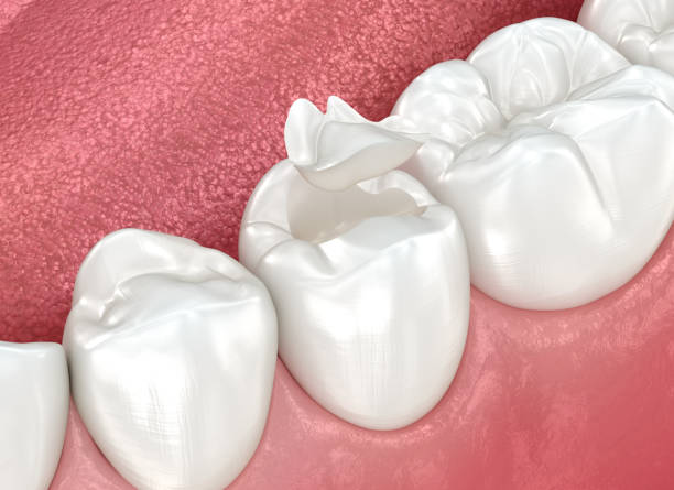 Our Range of Dental Services in Berkeley, IL